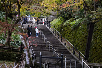 People on steps against trees