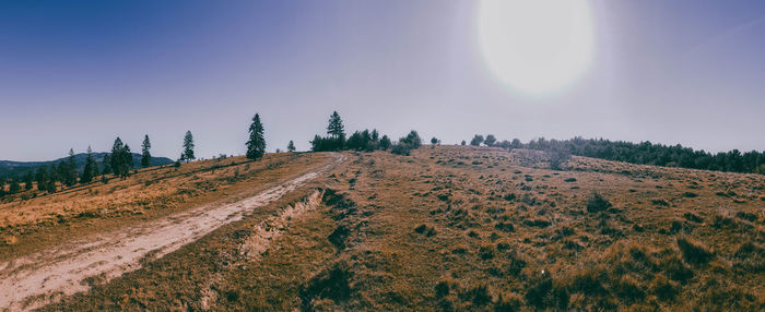 Scenic view of field against clear sky