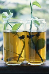 Close-up of drink in glass on table