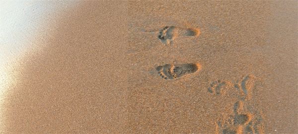 High angle view of footprints on sand at beach