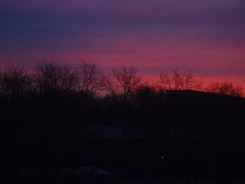 Silhouette trees against sky at sunset