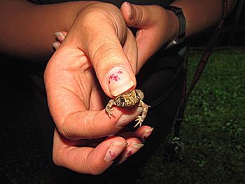 Close-up of man holding hands