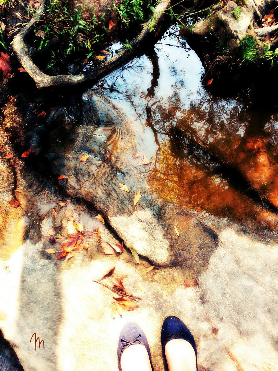 low section, person, personal perspective, high angle view, shoe, human foot, water, standing, unrecognizable person, part of, lifestyles, outdoors, nature, day, leaf, leisure activity, footwear