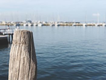 Wooden posts in sea against sky