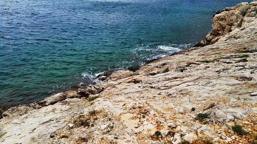 Scenic view of beach