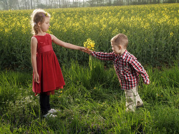 Cute boy giving flowers to sister while standing on field