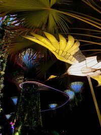 Low angle view of palm trees at night