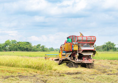 Scenic view of agricultural field against sky