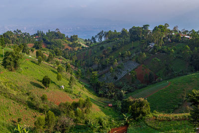 Beautiful view of the hills in the city of bandung.