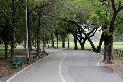 Empty road amidst trees in park