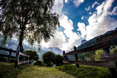 Panoramic shot of trees on landscape against sky