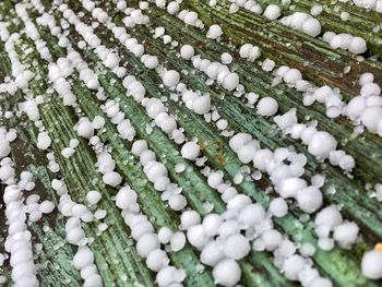 Hailstones in the decking creates a wonderful texture