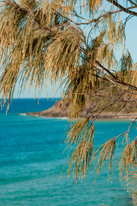 Scenic view of sea against blue sky