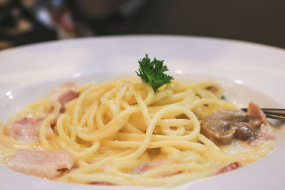 Close-up of meal served in plate