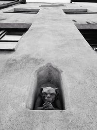 High angle portrait of a sculpture