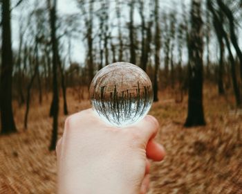 Close-up of hand holding crystal ball against trees in forest