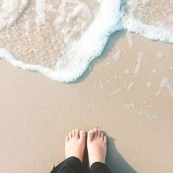 Low section of woman standing on shore at beach