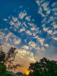 Low angle view of tree against sky at sunset