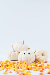 Food on white background