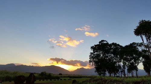 Scenic view of landscape against sky