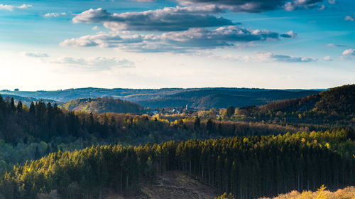 Scenic view of forest and mountains against sky