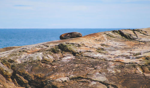 Rock formation in sea against sky