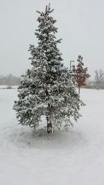 Scenic view of snow covered field