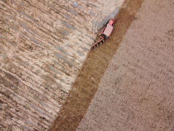 High angle view of woman walking on footpath