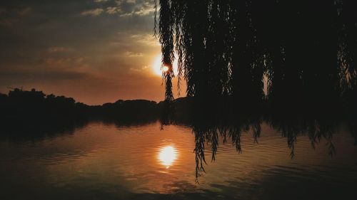 Reflection of trees in calm lake at sunset