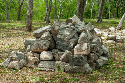 Stone wall by trees in forest