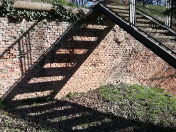 Close-up of shadow on tree