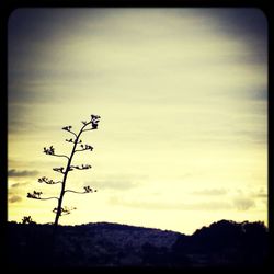 Scenic view of landscape against cloudy sky