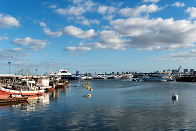 Sailboats moored in harbor against sky