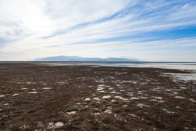 Scenic view of beach against sky