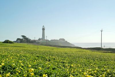 Field by pigeon point lighthouse against clear sky