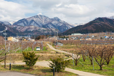 Apple farm with local town and central alps at yamanouchi, nagano, japan.