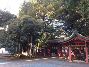 View of trees by building