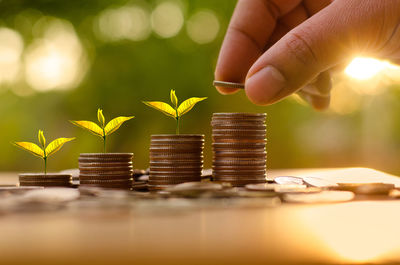 Business man putting money coins like growing graph with sun light