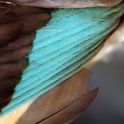 Close-up of rope