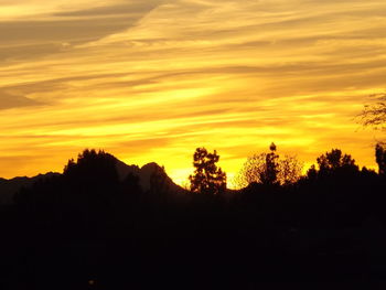 Silhouette trees on landscape against sky during sunset