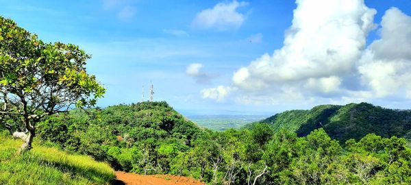 Panoramic shot of trees on land against sky