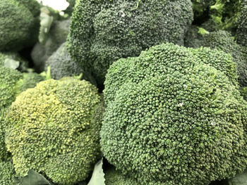 Closeup fresh broccoli green vibrant pile in basket shelf on a market. ready for cooking.
