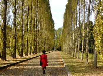 Rear view of woman walking on footpath amidst trees in park during autumn