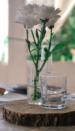 Close-up of plant on table