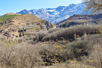 Scenic view of field against clear sky