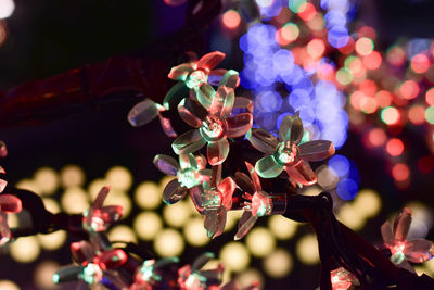 Close-up of christmas decoration