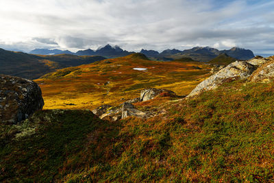 Panoramic view of golden landscapes and rock formation against sky during summer on lofoten islands
