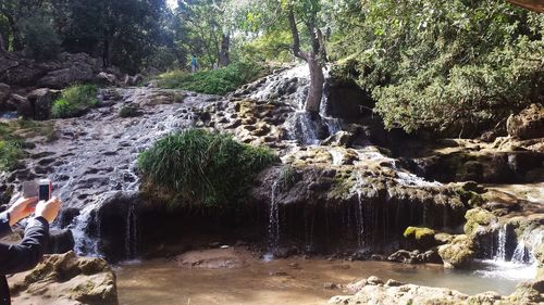 Low angle view of waterfall in forest