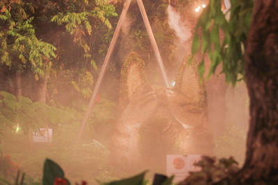 Digital composite image of trees and plants seen through glass