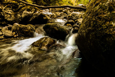 Stream flowing through rocks in forest